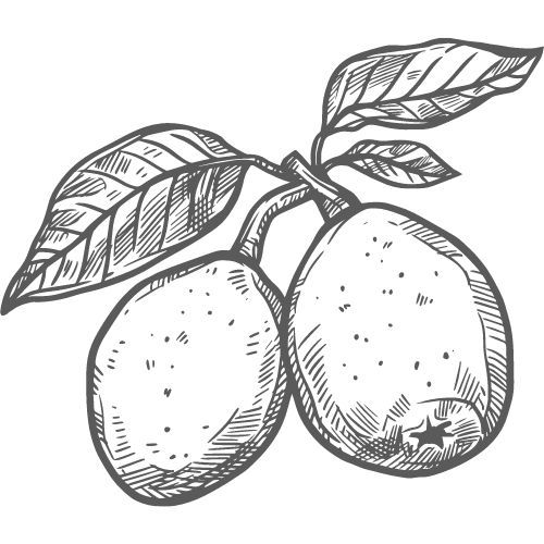 Obrázek produktu